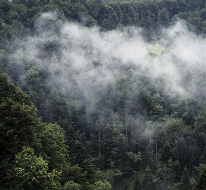 materiaux respectueux environnement